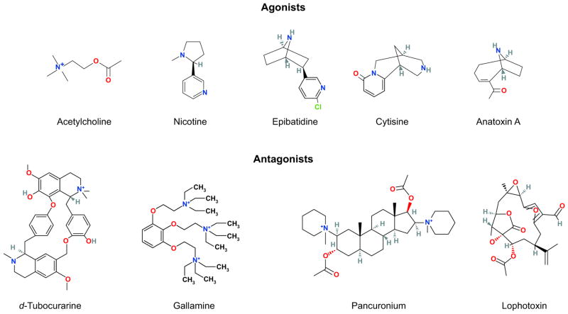 FIGURE 14