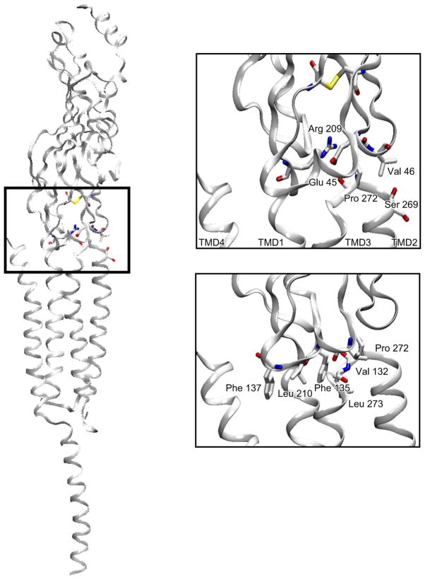 FIGURE 10