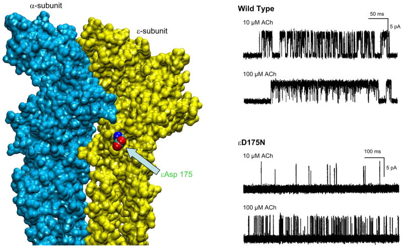 FIGURE 21