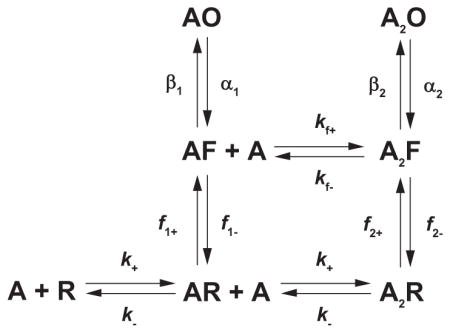 graphic file with name nihms414050u6.jpg