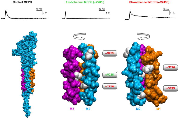 FIGURE 19