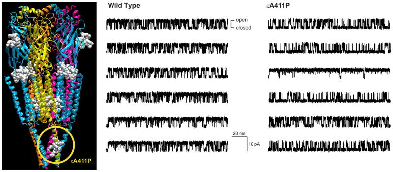 FIGURE 22