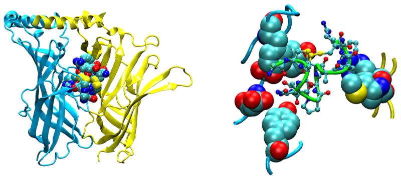 FIGURE 17