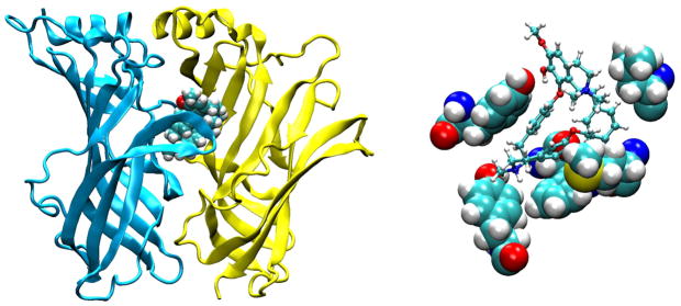 FIGURE 16