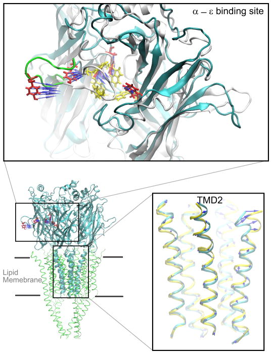 FIGURE 13