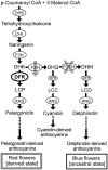 F<sc>i</sc><sc>g</sc>. 1.