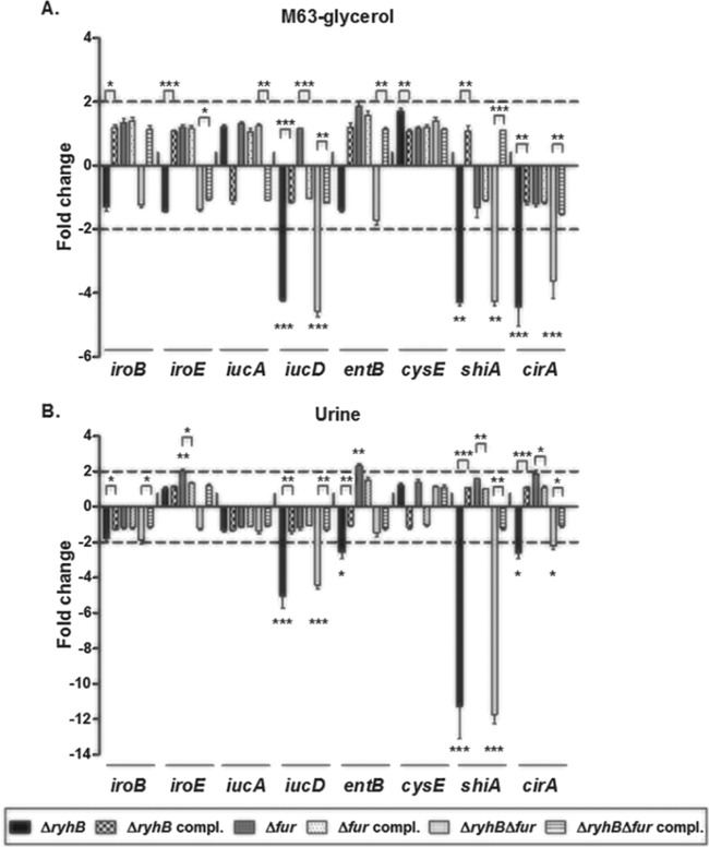 FIG 6