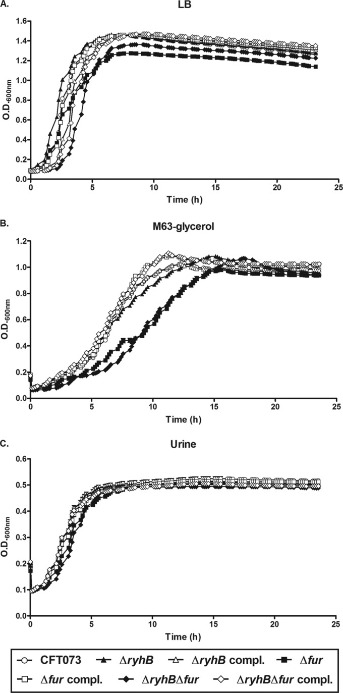 FIG 2