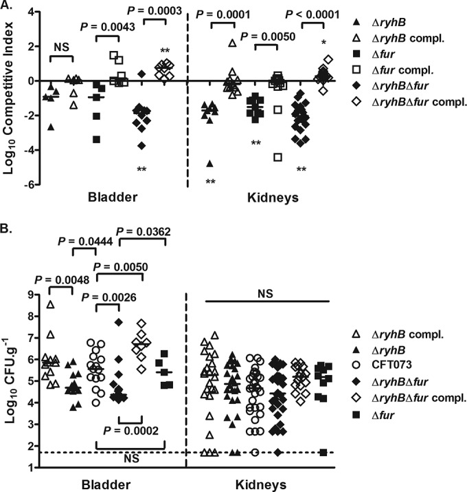 FIG 1