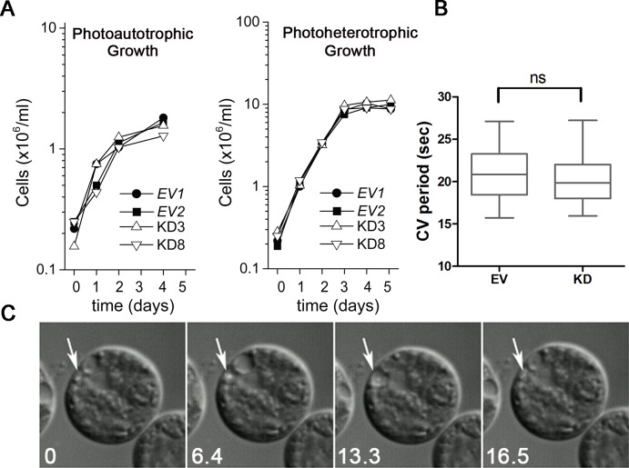 Figure 1—figure supplement 2.