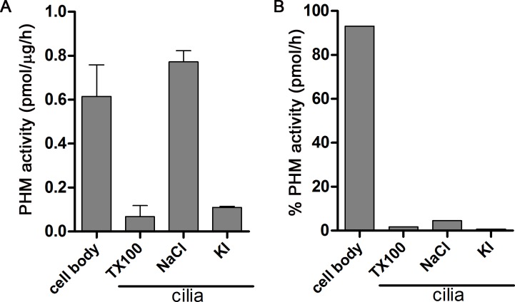 Figure 1—figure supplement 1.