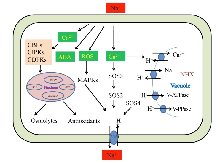 Fig. (3)