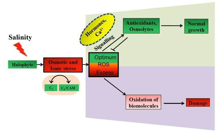 Fig. (1)