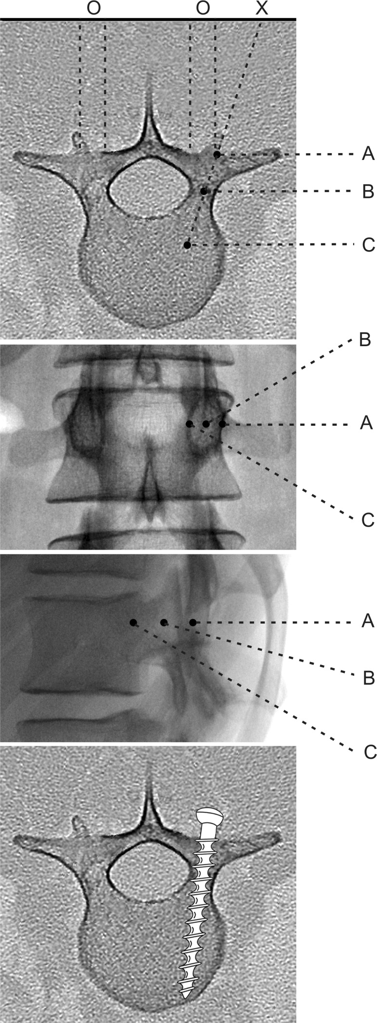 Fig. 4