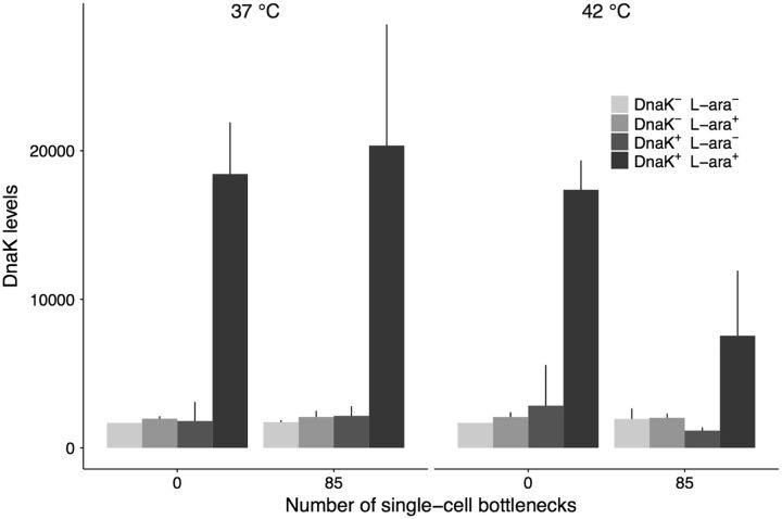 Fig. 2.—