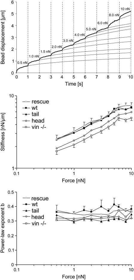 FIGURE 6