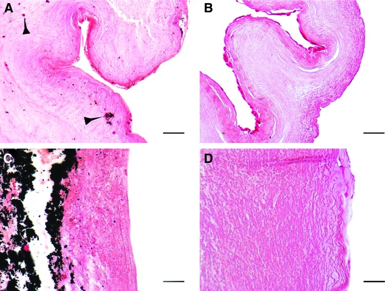 FIG. 7.