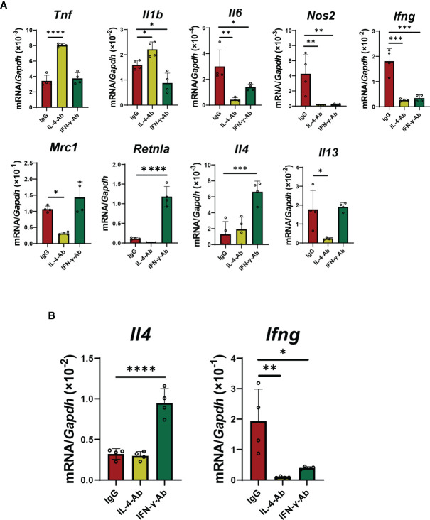 Figure 6