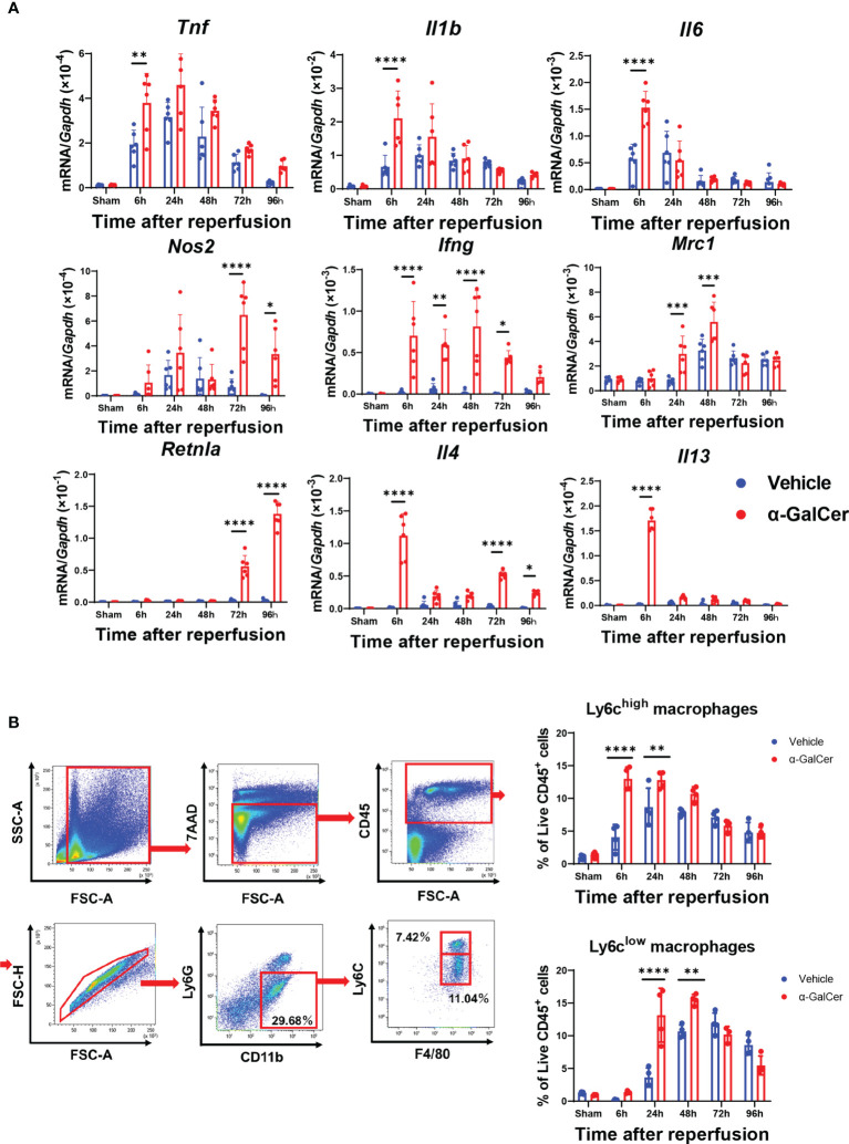 Figure 2