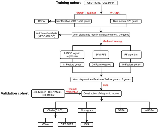 FIGURE 1