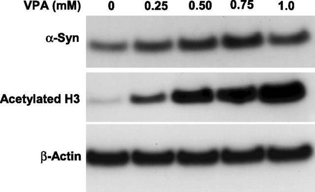 Figure 10.