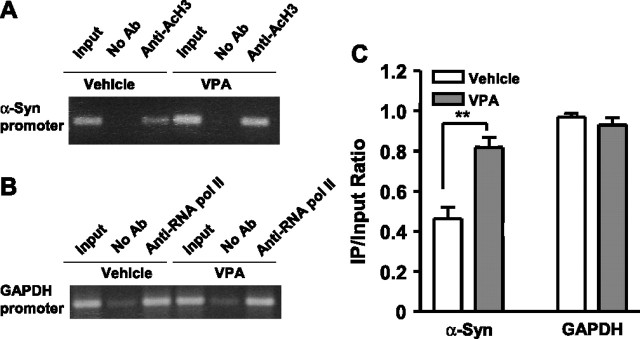 Figure 13.