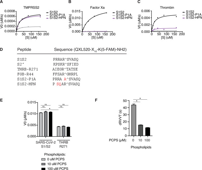 Figure 2—figure supplement 1.