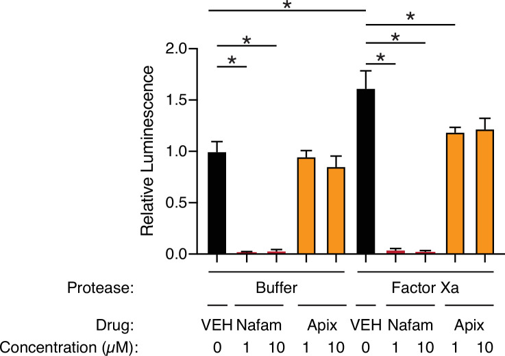 Figure 4—figure supplement 2.