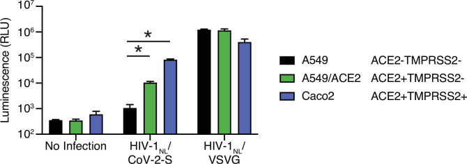 Figure 1—figure supplement 2.