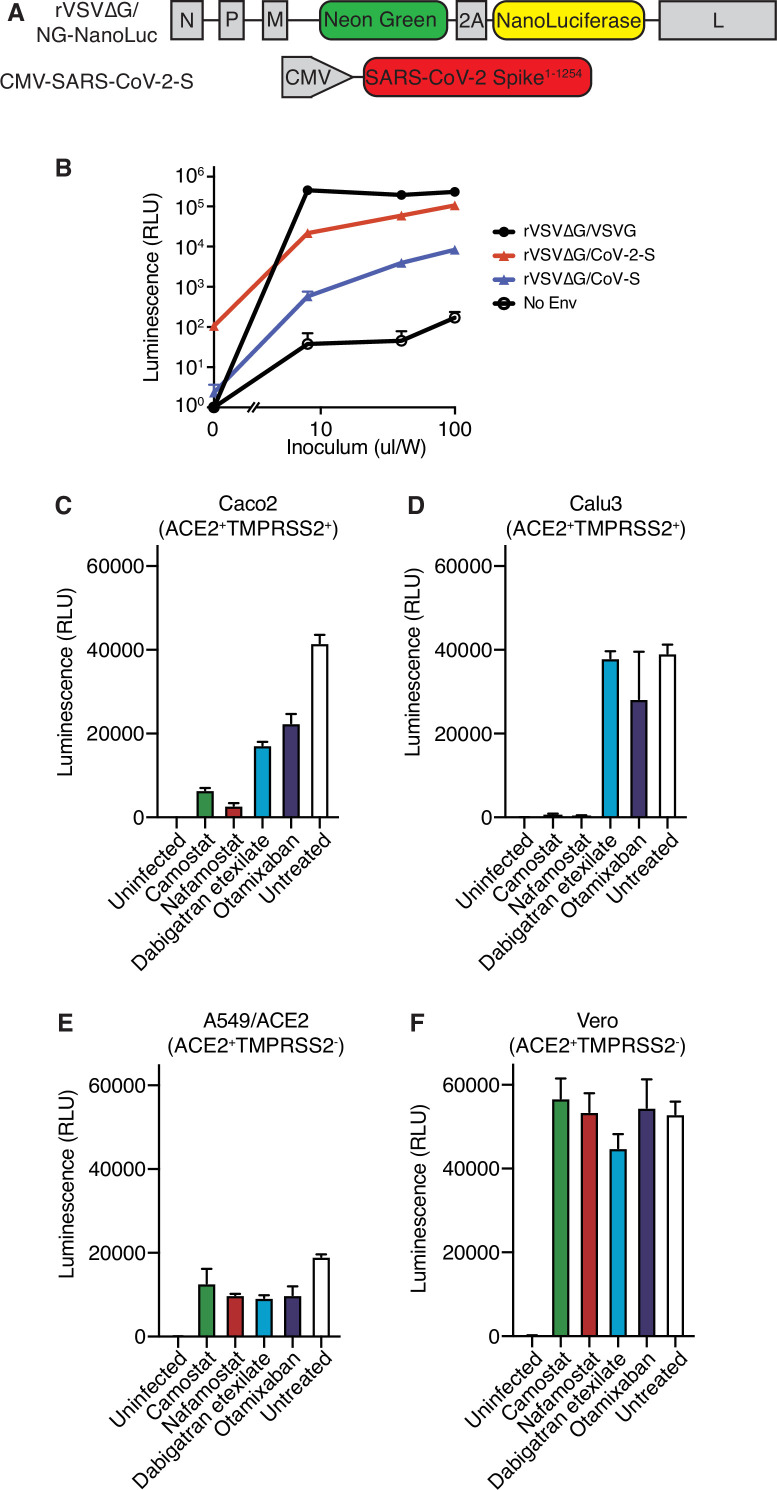 Figure 1—figure supplement 3.