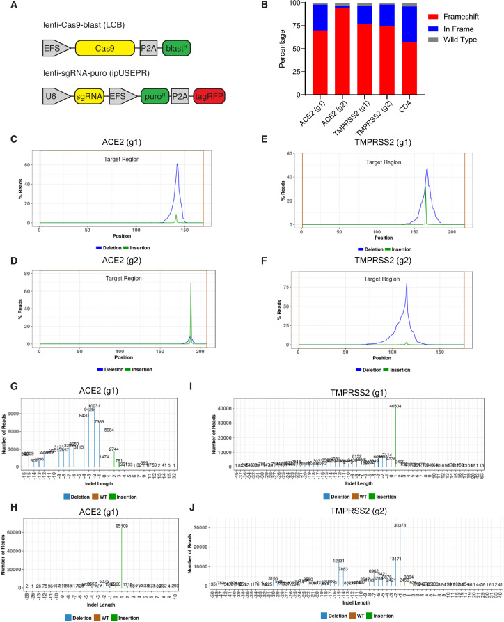 Figure 1—figure supplement 4.