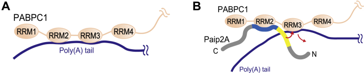 Figure 10