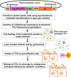 Fig. 11