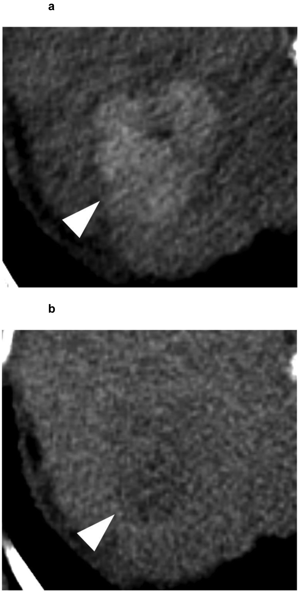 Figure 6: