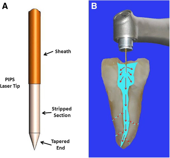 FIG. 1.