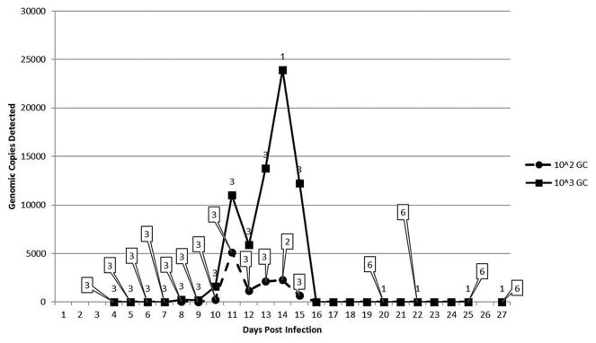 FIG. 1