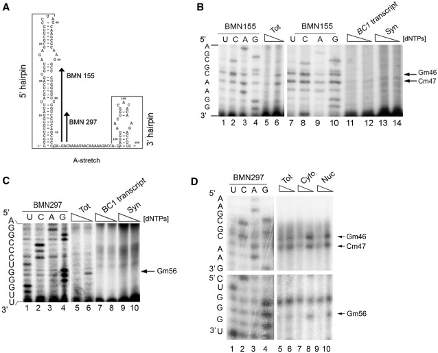 Figure 2.