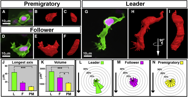 Figure 5