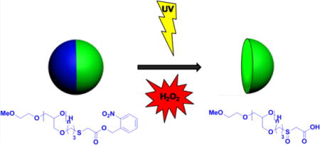 graphic file with name nihms889334u1.jpg