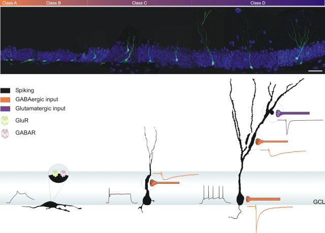 
Figure 10.
