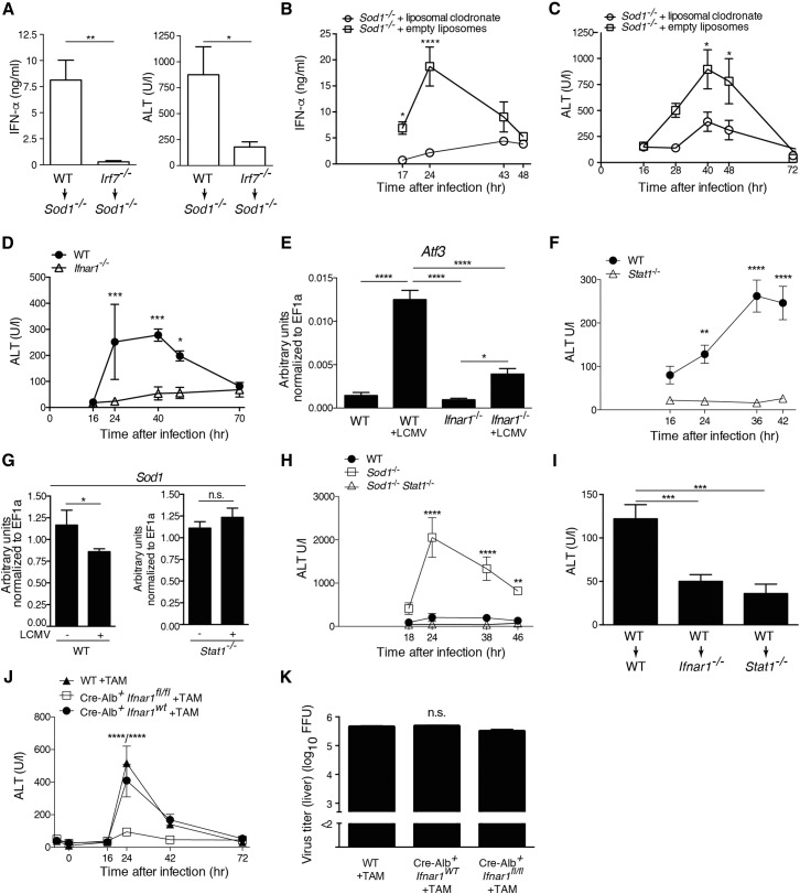 Figure 6