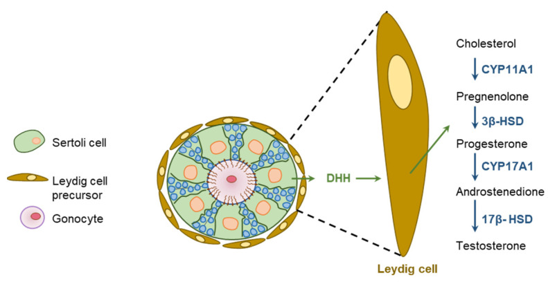 Figure 10