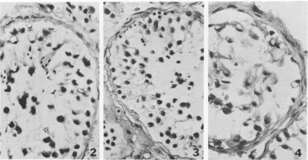 Fig. 2-4