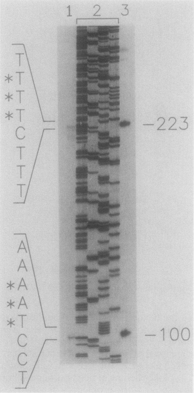 FIG. 7