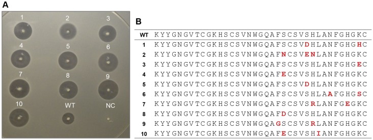 Figure 2