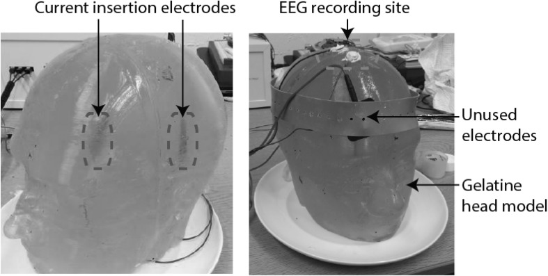 Fig. 8