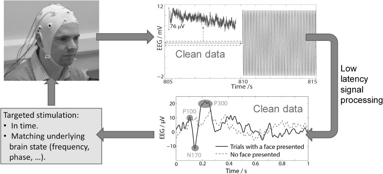 Fig. 12