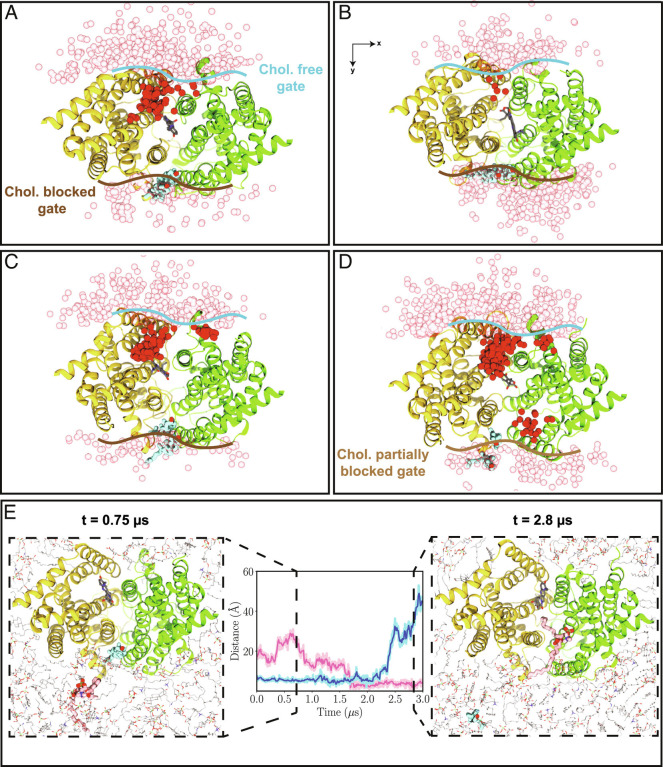 Fig. 6.