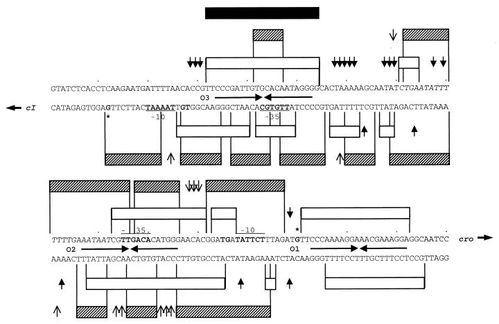 FIG. 8