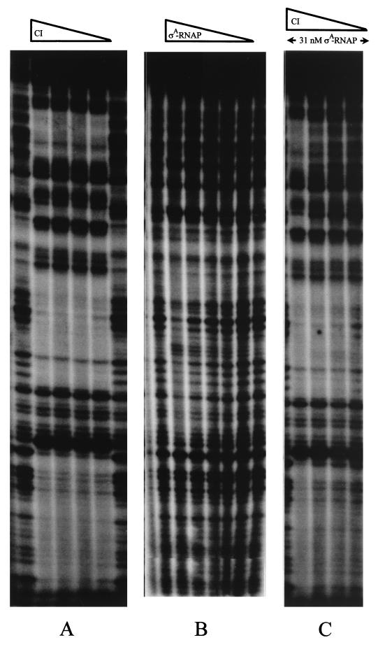 FIG. 7